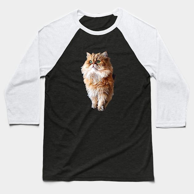 Persian Cat Cute Orange Persian Kitty Baseball T-Shirt by ElegantCat